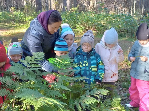 Поход в осенний лес